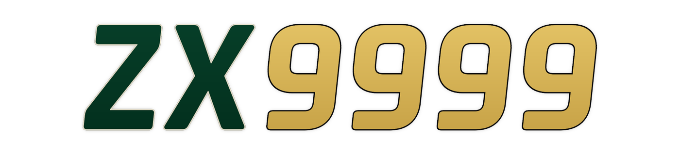 zx9999